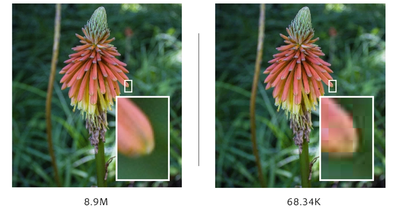 Image Compression in Software Development-Before and after Image Compression-reference image
